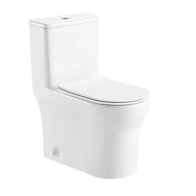 Унитаз-моноблок AZARIO SINTO 720х390х765 напольный в комплекте с сиденьем дюропласт микролифт, белый (AZ-1098)