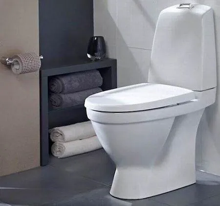 Унитаз напольный Gustavsberg Nautic Hygienic Flush 1510 GB111510201205 безободковый