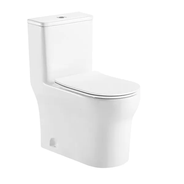 Унитаз-моноблок AZARIO SINTO 720х390х765 напольный в комплекте с сиденьем дюропласт микролифт, белый (AZ-1098)