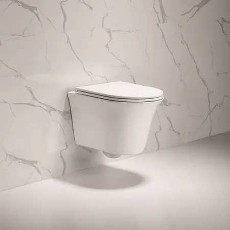 Унитаз подвесной Cerutti SPA Brenta aria CT7873 микролифт - купить в Москве по низкой цене в интернет-магазине с доставкой по всей России | HITsant Унитаз подвесной Cerutti SPA Brenta aria CT7873 микролифт