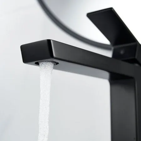 Смеситель для раковины однорычажный с гайкой Rose R1811H-1, Черный