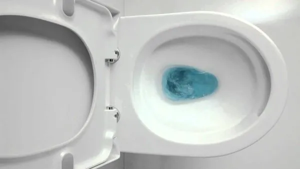 Унитаз подвесной Toto CF CW132Y+VC130 микролифт - купить в Москве по низкой цене в интернет-магазине с доставкой по всей России | HITsant Унитаз подвесной Toto CF CW132Y+VC130 микролифт