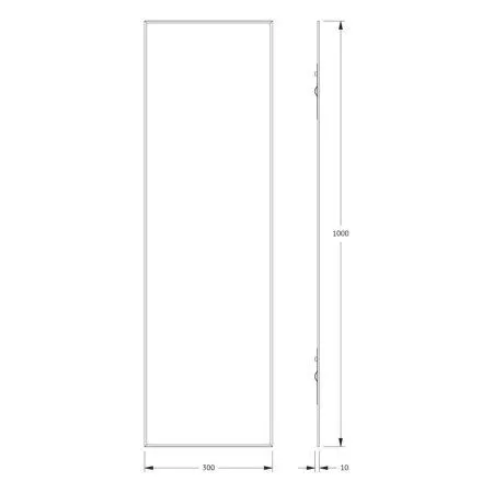 Зеркало Evoform Standard BY 0229 30x100