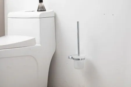 Ершик для унитаза подвесной Frap F3ZS06IT10UX, хром - купить в Москве по низкой цене в интернет-магазине с доставкой по всей России | HITsant Ершик для унитаза подвесной Frap F3ZS06IT10UX, хром