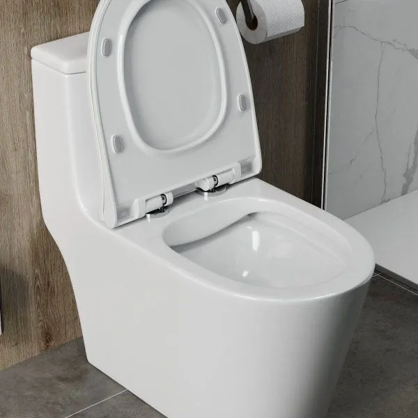 Унитаз напольный моноблок Teymi Solli безободковый, сиденье микролифт T41101