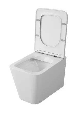 Унитаз подвесной OWL 1975 Vatter Ruta-H OWLT190401 микролифт