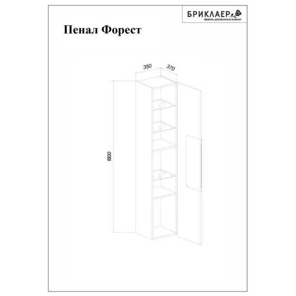 Пенал Бриклаер Форест 35 см, дуб золотой/белый