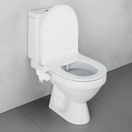 Унитаз-компакт Damixa Origin Evo 2 421788607SC с приставкой биде и сиденьем микролифт