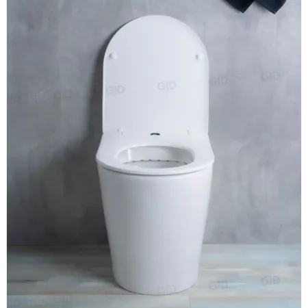 Унитаз Gid TRS-263 (приставной)