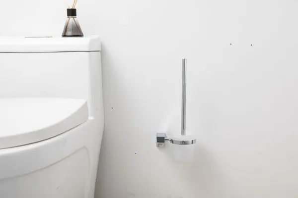 Ершик для унитаза подвесной Frap F3ZS06IT10UX, хром - купить в Москве по низкой цене в интернет-магазине с доставкой по всей России | HITsant Ершик для унитаза подвесной Frap F3ZS06IT10UX, хром