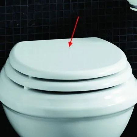 Крышка-сиденье Simas Arcade AR003bi/br белый/бронза