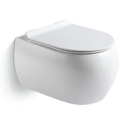 Подвесной унитаз B&W W-727 Rimless / UF seat cover / Fixing screw (500x365x350)