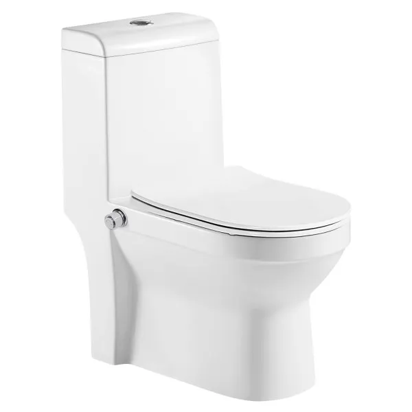 Унитаз-моноблок AZARIO BRUSCO 700x380x805 напольный со встроенной функцией биде, в комплекте с сиденьем дюропласт микролифт (AZ-1085B)