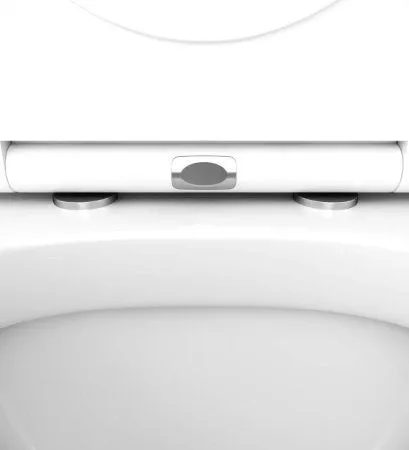 Унитаз подвесной Am.Pm Spirit C701738SC микролифт