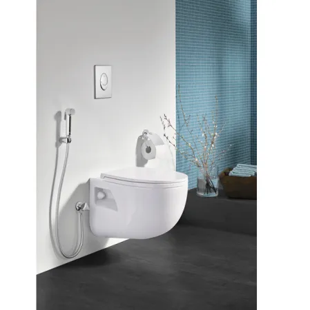 Гигиенический душ Grohe Tempesta-F 26357000 с вентилем - купить в Москве по низкой цене в интернет-магазине с доставкой по всей России | HITsant Гигиенический душ Grohe Tempesta-F 26357000 с вентилем