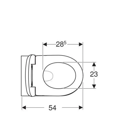Унитаз подвесной Geberit Renova 500.802.00.1