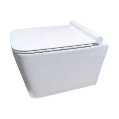 Унитаз подвесной Cerutti SPA Maiella Aria CT7402 микролифт