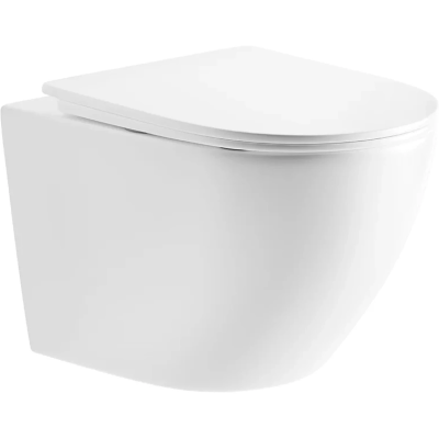 Унитаз подвесной River Michigan 485 WT 10000013699 безободковый, торнадо, с сиденьем микролифт, белый