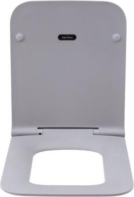 Сиденье для унитаза Allen Brau Liberty 4.33008.AN антрацит