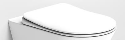 Крышка-сиденье для унитаза Boheme Avva 976-W микролифт, белый глянцевый