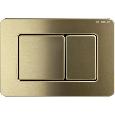 Кнопка смыва Charus Robusto FP.310.BTG.05 для инсталляции, темное золото матовый