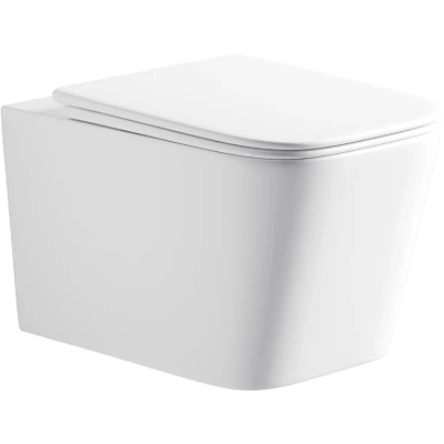 Унитаз подвесной River Gudzon 485 WT 10000013702 безободковый, торнадо, с сиденьем микролифт, белый