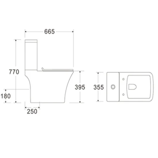 Унитаз-компакт Cerutti SPA Vettore CT7192 микролифт