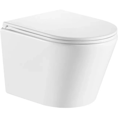 Унитаз подвесной GID Tr2130 безободковый, с сиденьем микролифт, белый