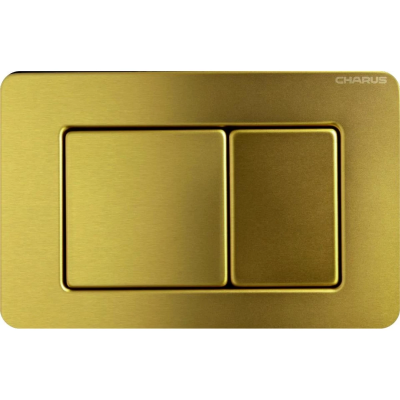 Кнопка смыва Charus Robusto FP.310.BG.05 для инсталляции, светлое золото матовый