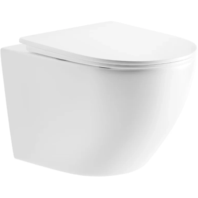 Унитаз подвесной River Michigan 520 WT 10000013705 безободковый, торнадо, с сиденьем микролифт, белый