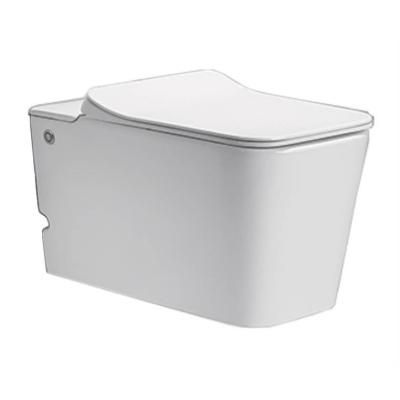 Унитаз подвесной Cerutti SPA C-370C с функцией импульсного слива и инсталяцией