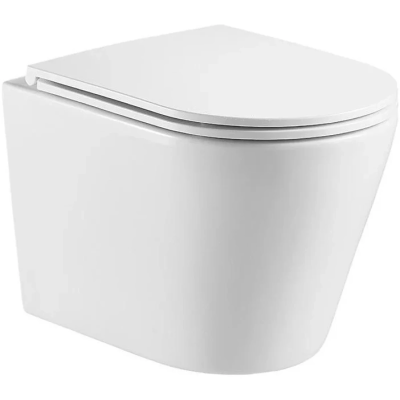 Унитаз подвесной WeltWasser Salzbach 043 GL-WT 10000010281 безободковый, торнадо, с сиденьем микролифт, белый