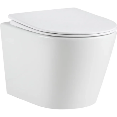 Унитаз подвесной River Ontario 485 WT 10000013696 безободковый, торнадо, с сиденьем микролифт, белый