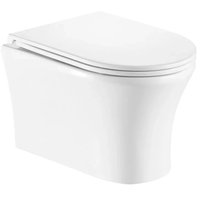 Унитаз подвесной GID Tr2101 безободковый, с сиденьем микролифт, белый