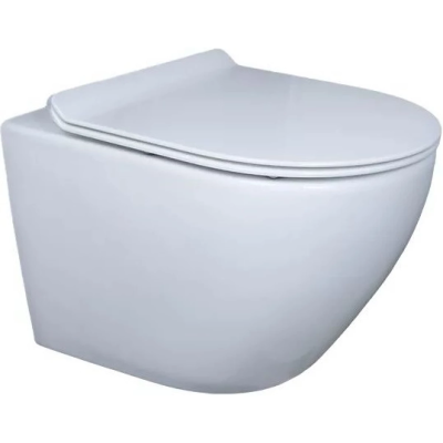 Унитаз подвесной GID Tr2198 безободковый, с сиденьем микролифт, белый