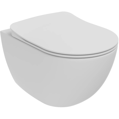 Унитаз подвесной Creavit Free FE322-11MB00E-0000 безободковый, белый матовый