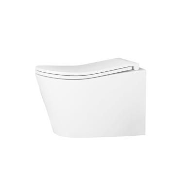 Унитаз подвесной безободковый (торнадо) D&K Bamberg 520*360*360мм, сиденье микролифт, белый (DT1556516)