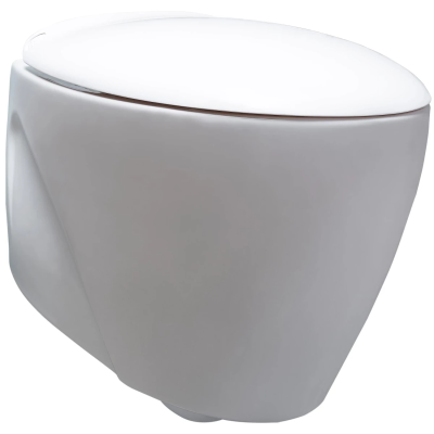 Унитаз подвесной beWash Helenen 69303601 безободковый, с функцией биде, с сиденьем микролифт, белый