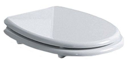 Крышка-сиденье Simas Arcade AR007bi/oro белый/золото, микролифт