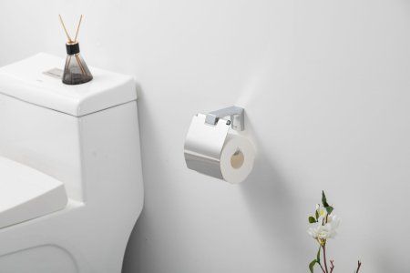 Держатель туалетной бумаги Frap F30603, хром