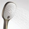 Душевая лейка WasserKRAFT Exter 1600 A050 3-функциональная, светлая бронза