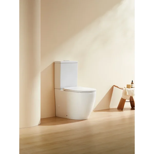 Унитаз напольный Arrow AHB2233H безободковый, без бачка, белый