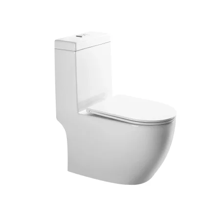 Напольный унитаз-моноблок Gid Tr2205 62230Y, Белый