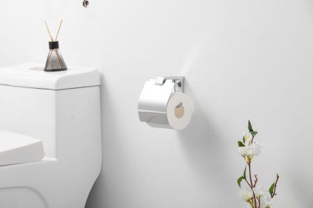 Держатель туалетной бумаги Frap F30603, хром