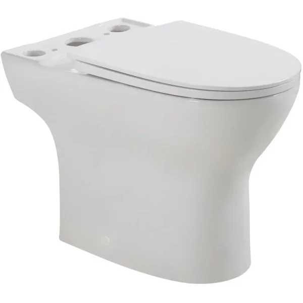 Унитаз напольный BelBagno Lounge BB045CPR/SC безободковый, без бачка, с сиденьем микролифт, белый