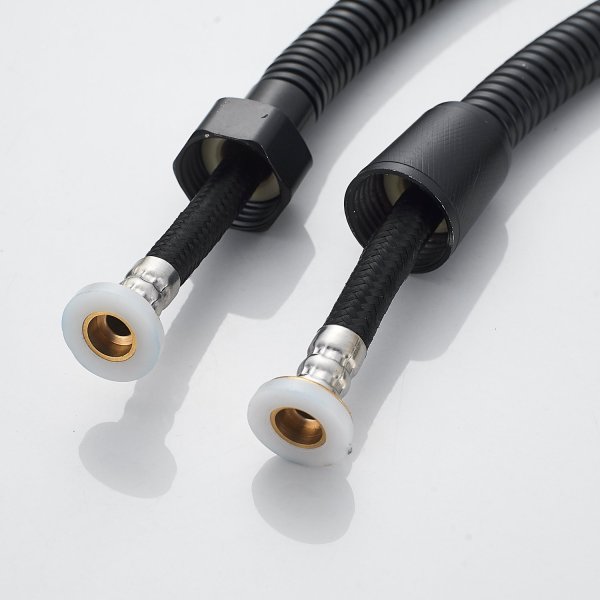 Смеситель для раковины с гигиеническим душем Raffine F171H, черный