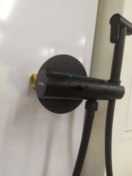 Гигиенический душ скрытого монтажа с термостатом GAPPO G7290-6 черный матовый