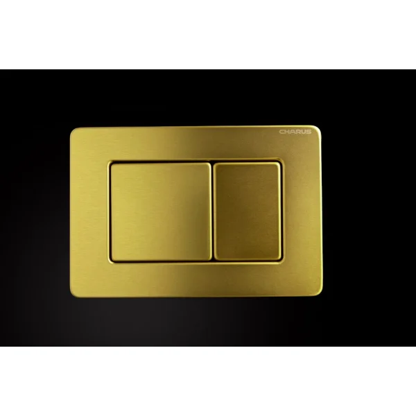 Кнопка смыва Charus Robusto FP.310.BG.05 для инсталляции, светлое золото матовый