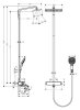 Душевая стойка Hansgrohe Raindance Select 27113400