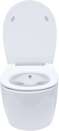 Крышка-сиденье для унитаза Allen Brau Fantasy Smartfix, Soft-Close 4.11005.20 белый глянец